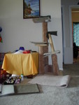 P1010843.JPG