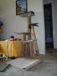 P1010844.JPG