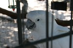 IMG_3848.JPG