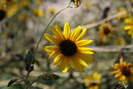 IMG_3856.JPG