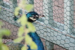 IMG_3861.JPG