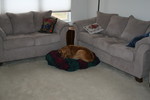 IMG_8705.JPG
